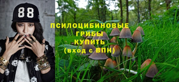 дживик Кукмор